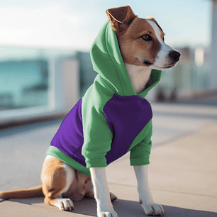 Poleron con Gorro Morado Menta