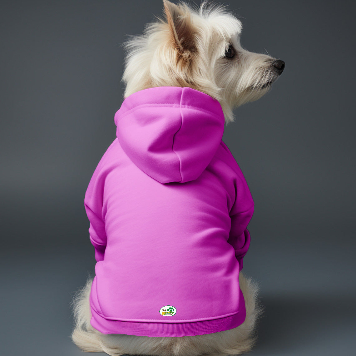 Poleron con gorro sin Estampado 4