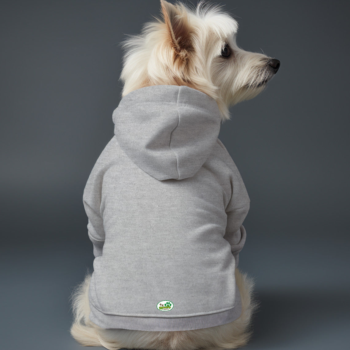 Poleron con gorro sin Estampado 5