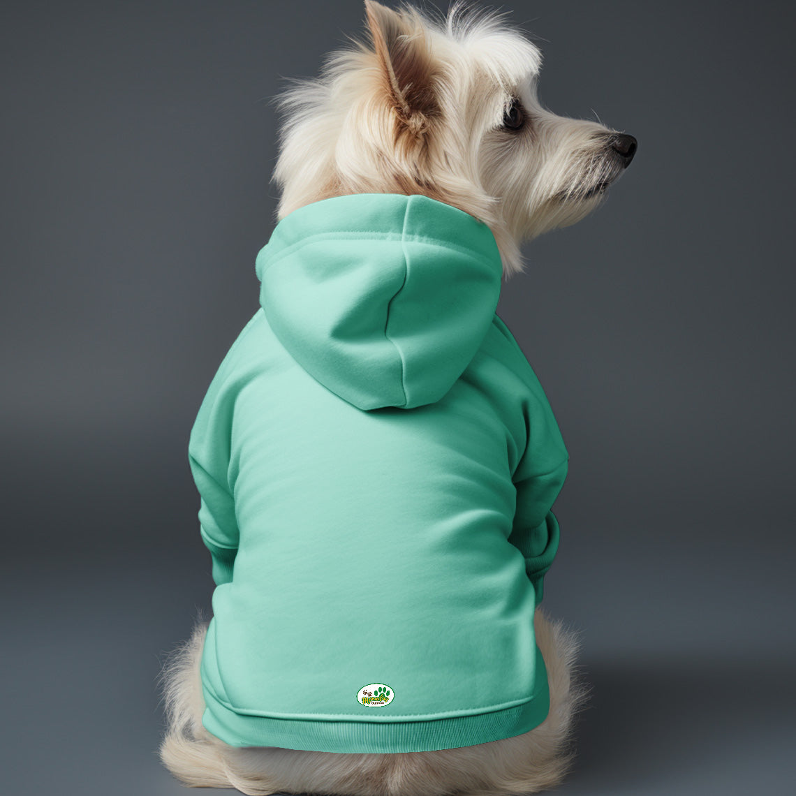 Poleron con gorro sin Estampado 6