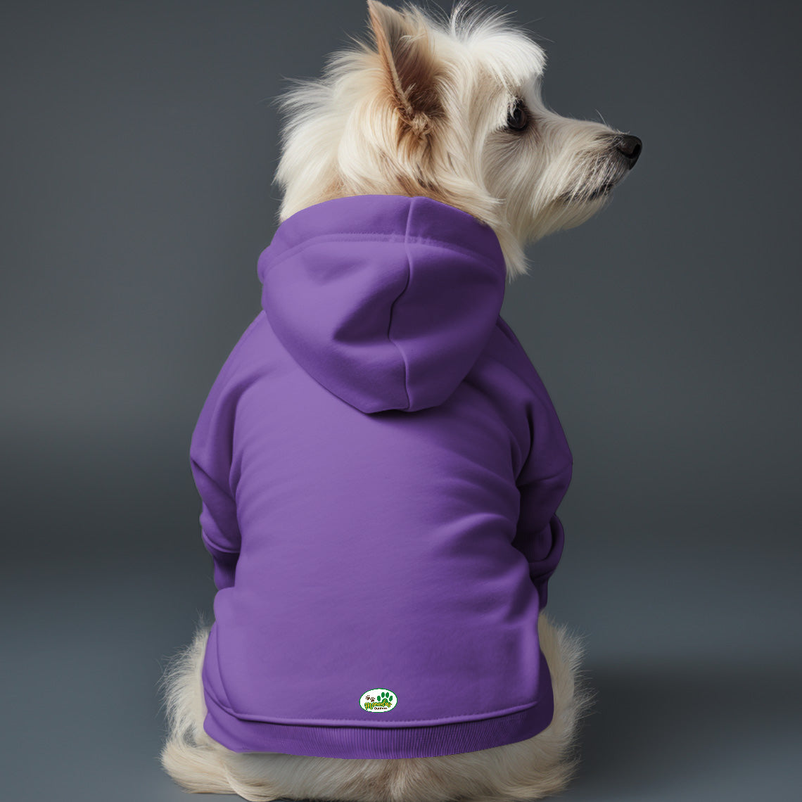 Poleron con gorro sin Estampado 7