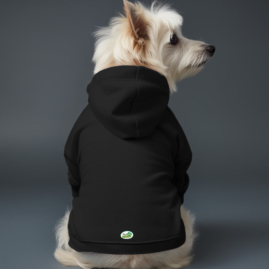 Poleron con gorro sin Estampado 8