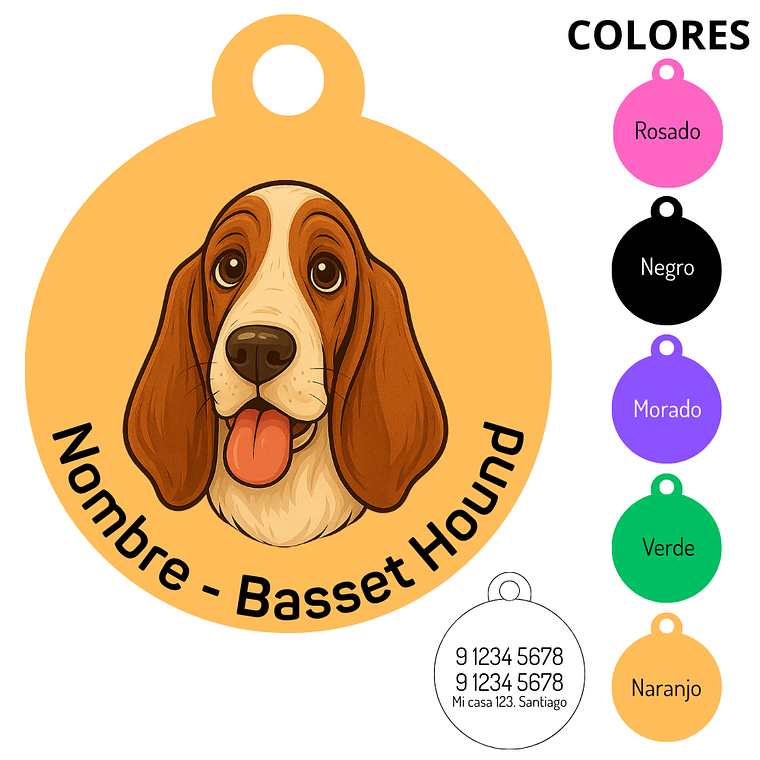 Medalla Basset Hound 2 1