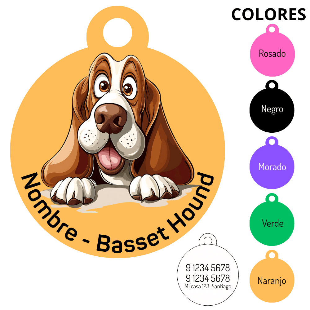 Medalla Basset Hound 1