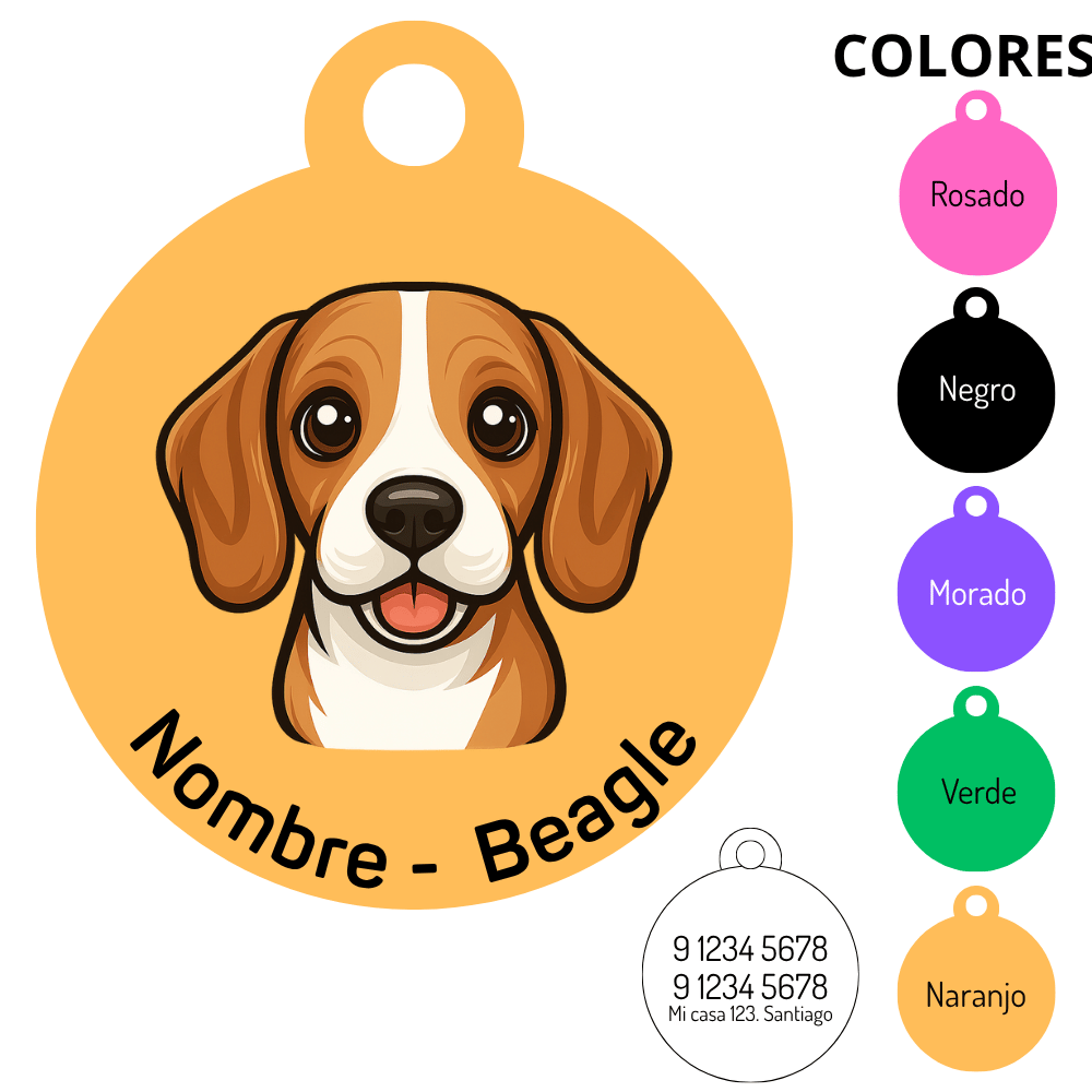 Medalla Beagle 3 1