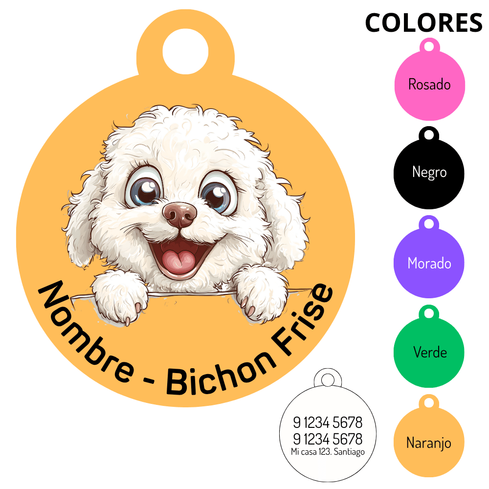 Medalla Bichon Frise 1