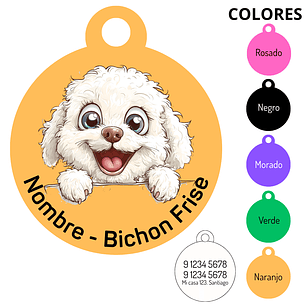 Medalla Bichon Frise