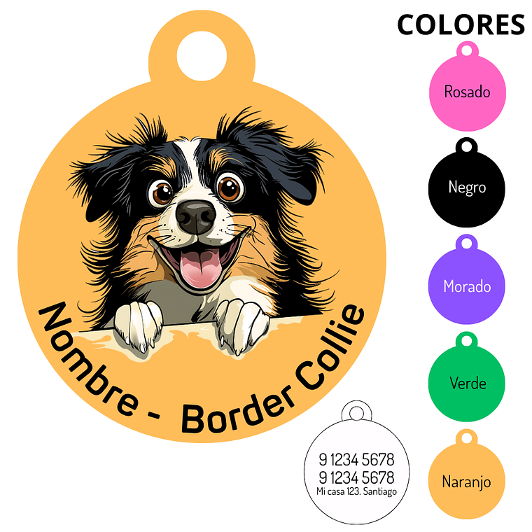 Medalla Border Collie 1