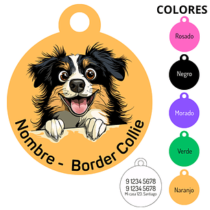 Medalla Border Collie