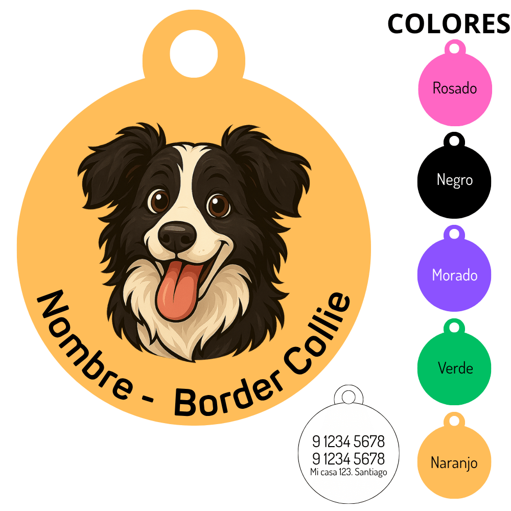 Medalla Border Collie- COPIAR 1