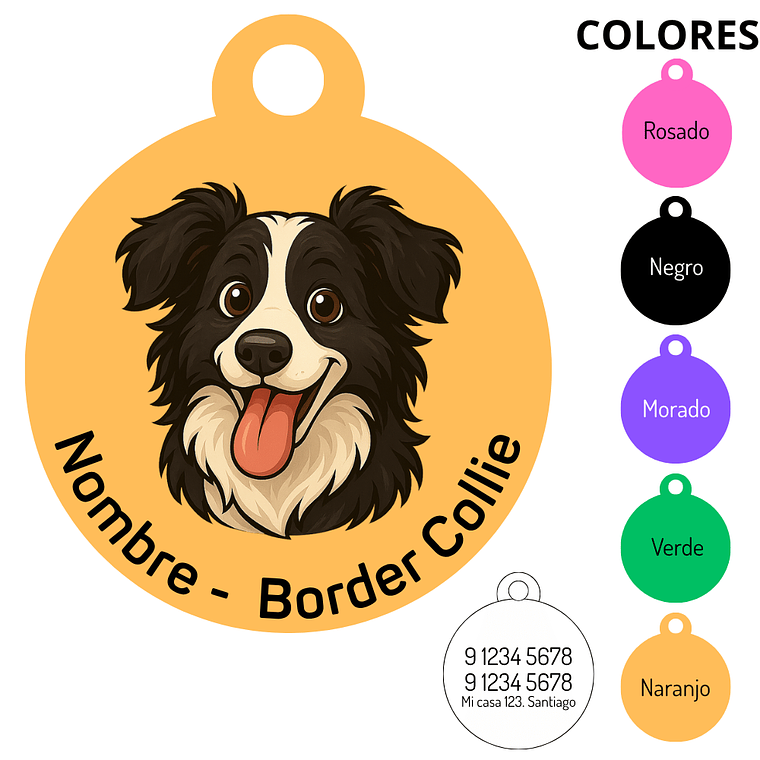 Medalla Border Collie- COPIAR 1