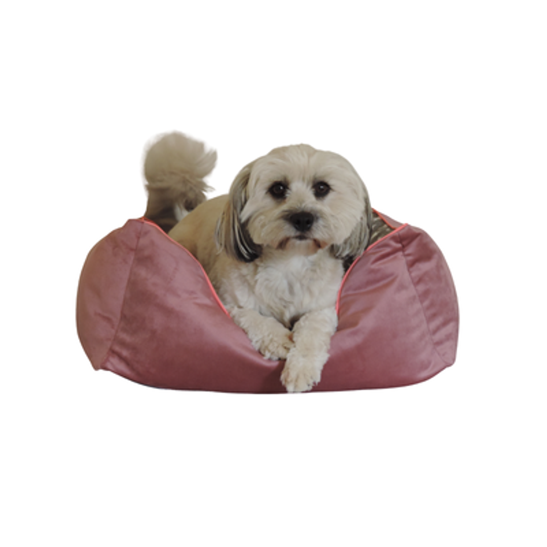 Cama Pet-Nido duo S (40x30 cm) 2