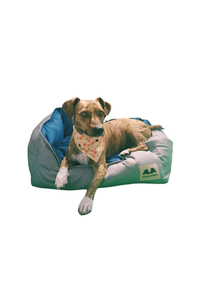 Cama Pet-Nido duo Azul - Lino Traiguén