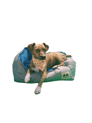 Cama Pet-Nido duo Azul - Lino Traiguén