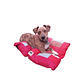 Cama Pet-Cojín Eco S-Rojo - Miniatura 1