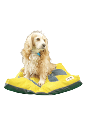 Cama Pet-Cojín Eco M-Amarillo