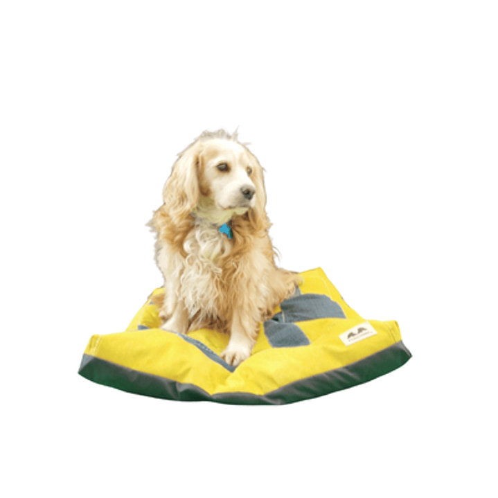 Cama Pet-Cojín Eco M-Amarillo 1