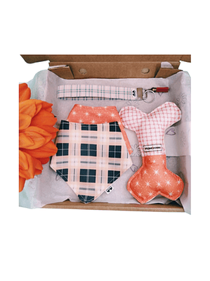 Gift Box-Dog lovers S #01