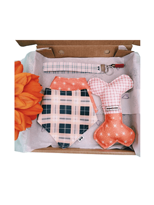 Gift Box-Dog lovers S #01