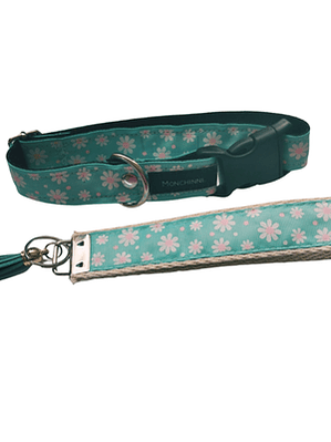 Conjunto Collar dog + llavero  M #01