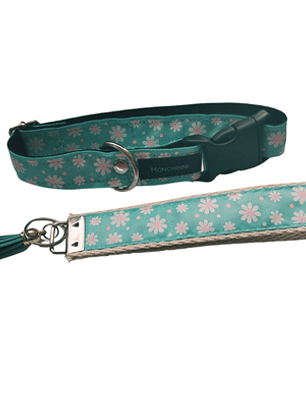 Conjunto Collar dog + llavero  M #01
