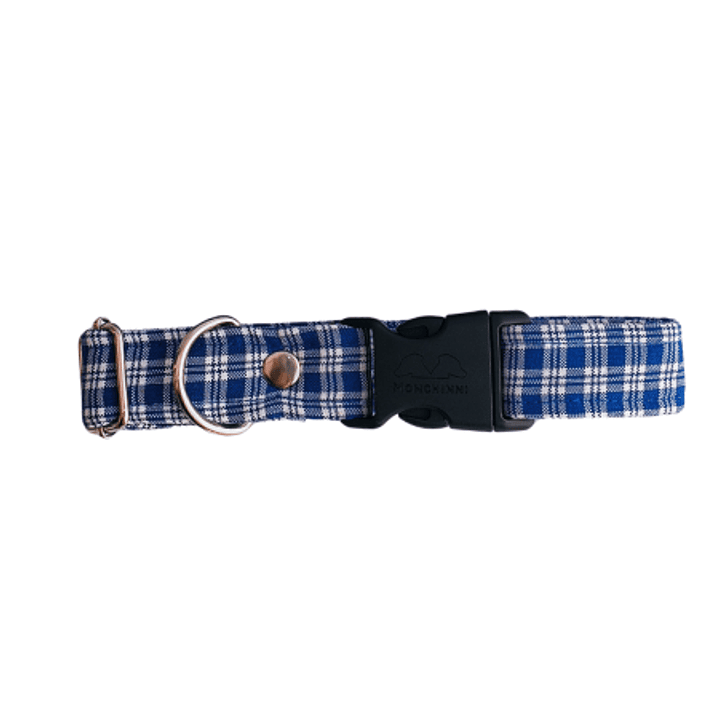 Collar dog- tartan Azul-(30cm-52cm/A.2.5cm) 1