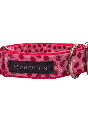 Collar dog-Cerrado-Estampado -(33cm-54cm/A.3.0cm)