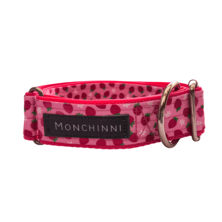 Collar dog-Cerrado-Estampado -(33cm-54cm/A.3.0cm) 1
