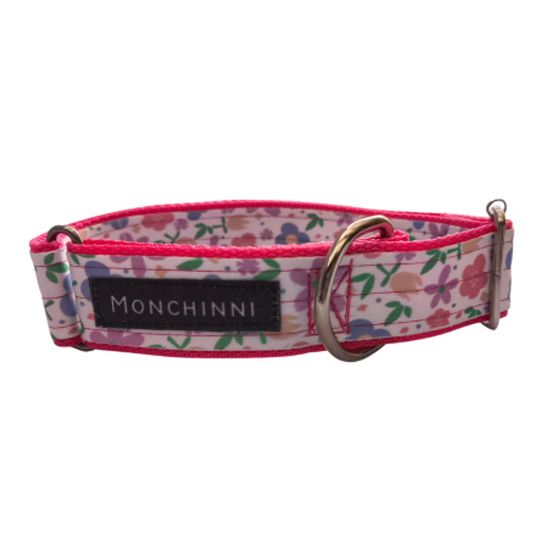 Collar dog-Cerrado-Estampado -(33cm-54cm/A.3.0cm)#4 1