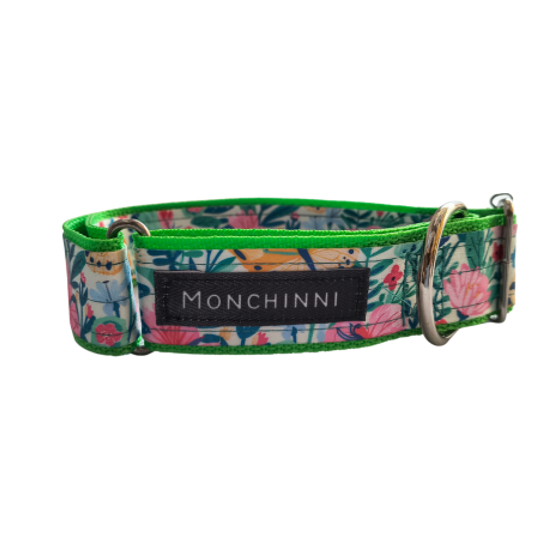 Collar dog-Cerrado-Estampado -(33cm-54cm/A.3.0cm)#7 1
