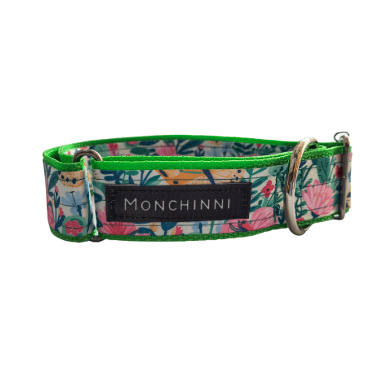 Collar dog-Cerrado-Estampado -(33cm-54cm/A.3.0cm)#7 1