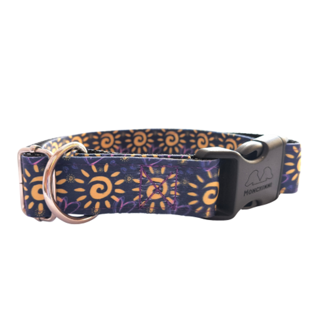 Collar dog-Estampado (30cm-55cm/A.2.5cm)#9 1