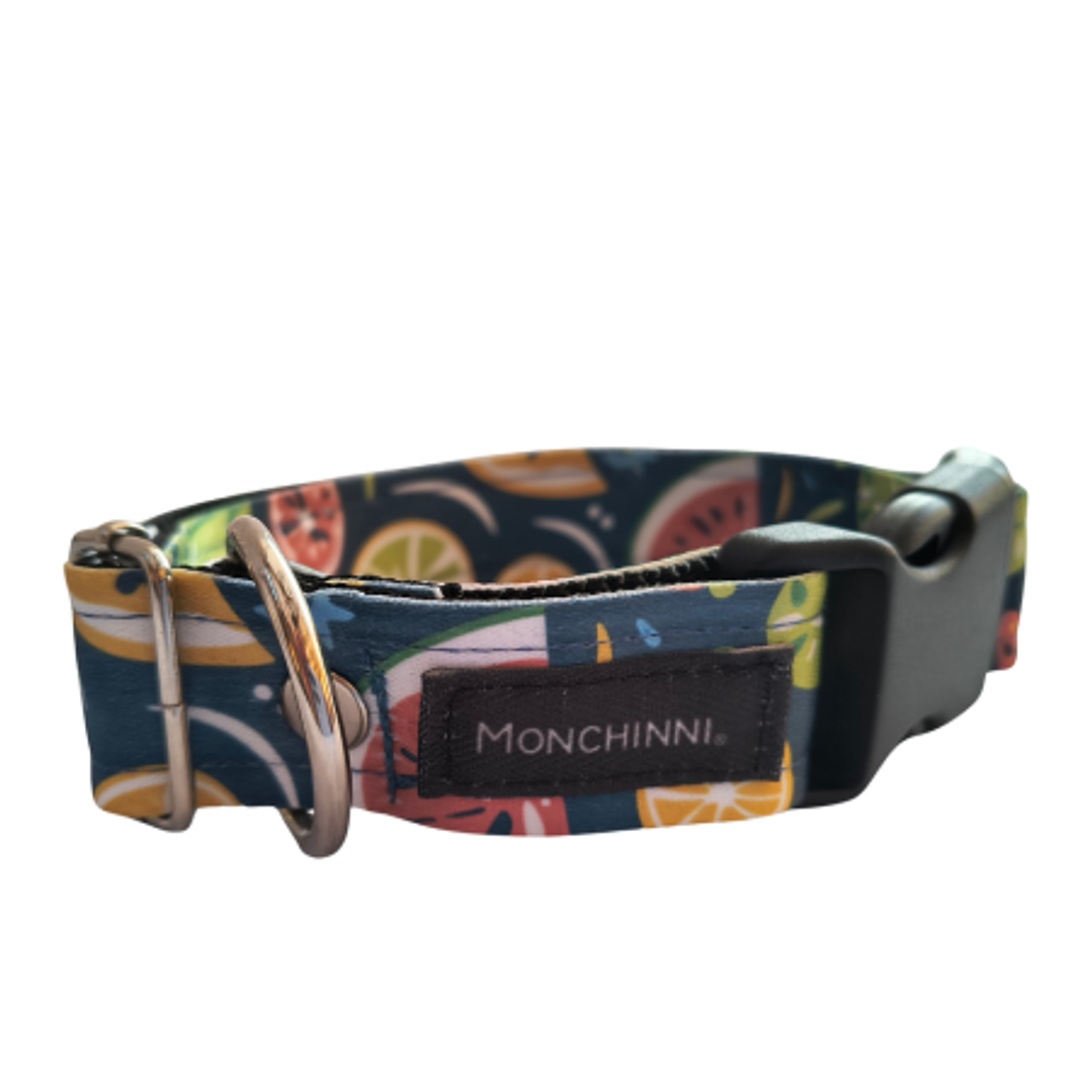 Collar dog-Estampado (30cm-55cm/A.2.5cm)#10 1
