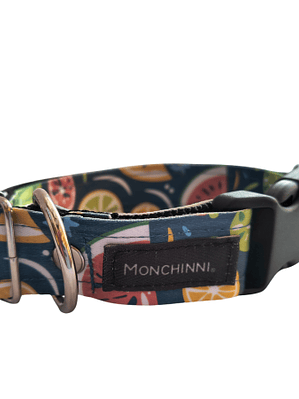 Collar dog-Estampado (30cm-55cm/A.2.5cm)#10