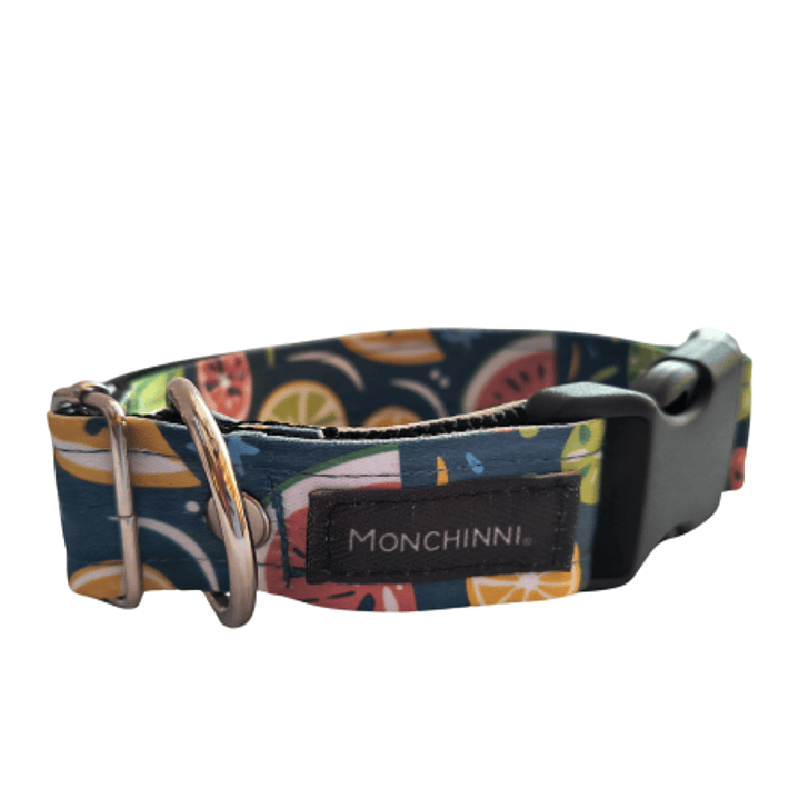 Collar dog-Estampado (30cm-55cm/A.2.5cm)#10 1