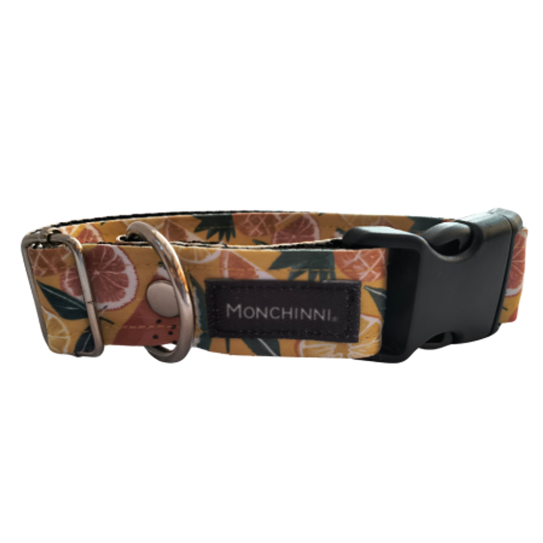 Collar dog-Estampado (30cm-55cm/A.2.5cm)#11 1