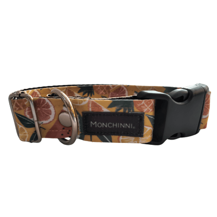 Collar dog-Estampado (30cm-55cm/A.2.5cm)#11 1