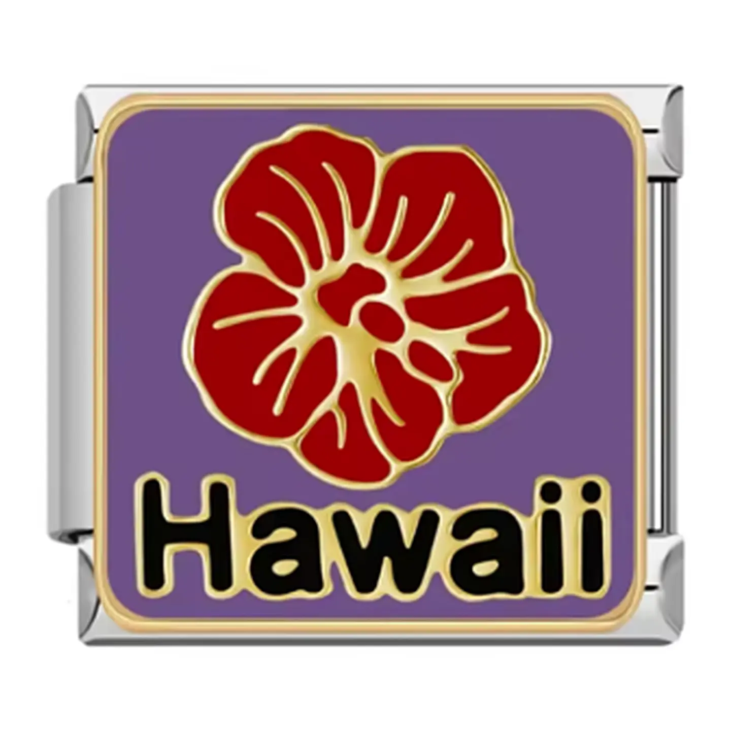 Hawaii Charm  1