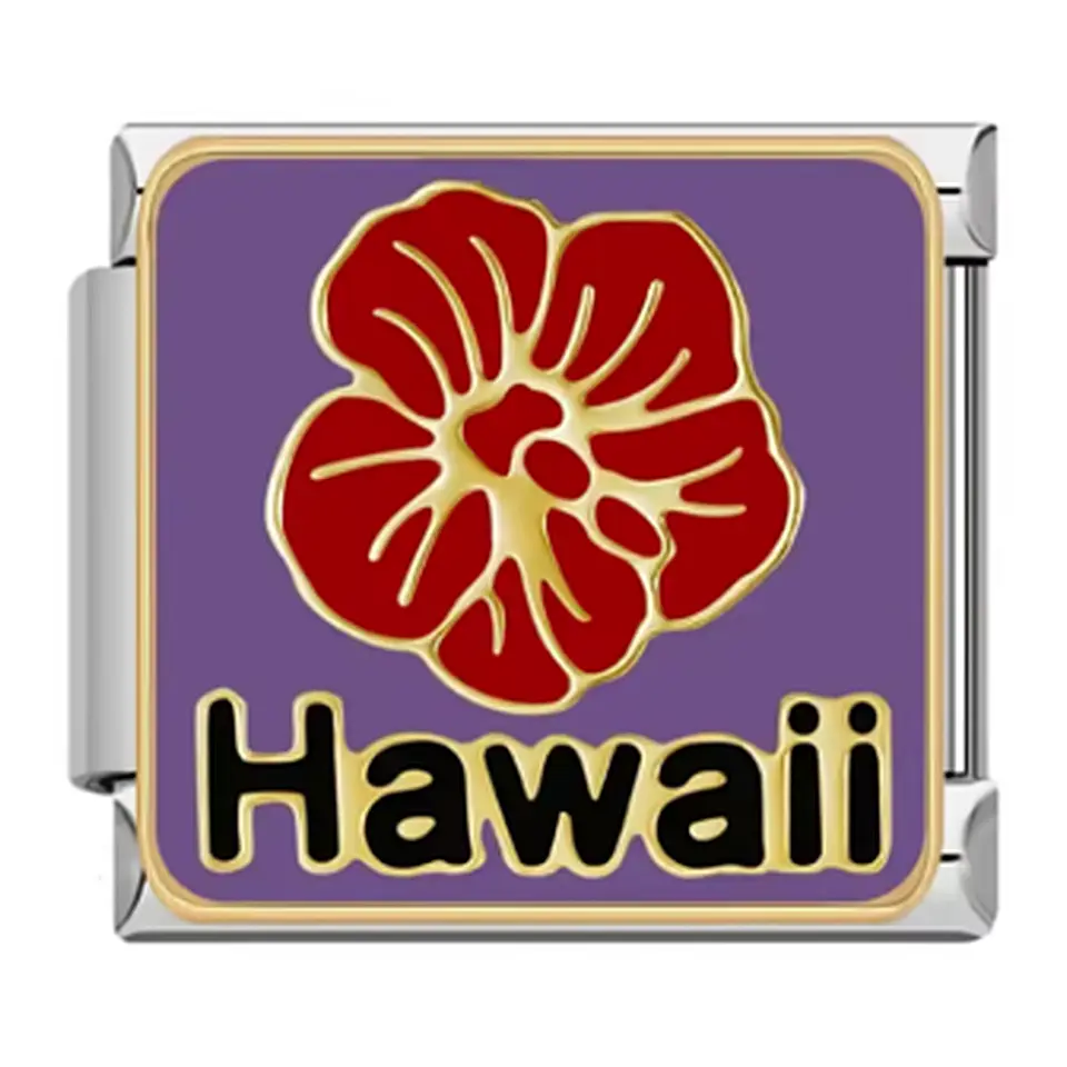 Hawaii Charm  1