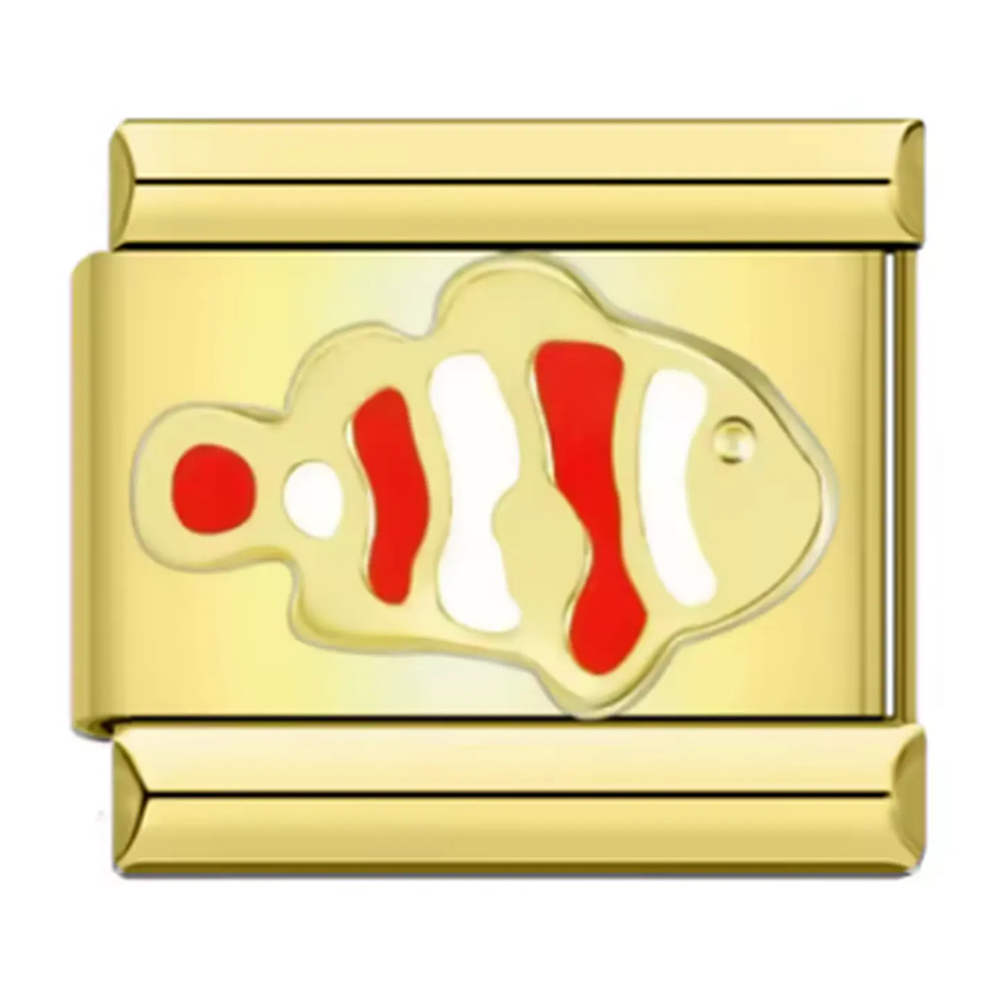 Nemo Charm 1