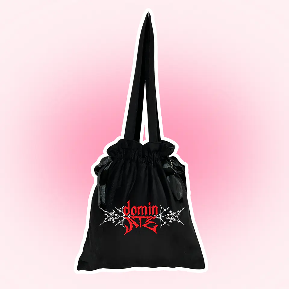 Ribbon bag Stray Kids  2