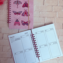 Planner 2024 Polillas Florales