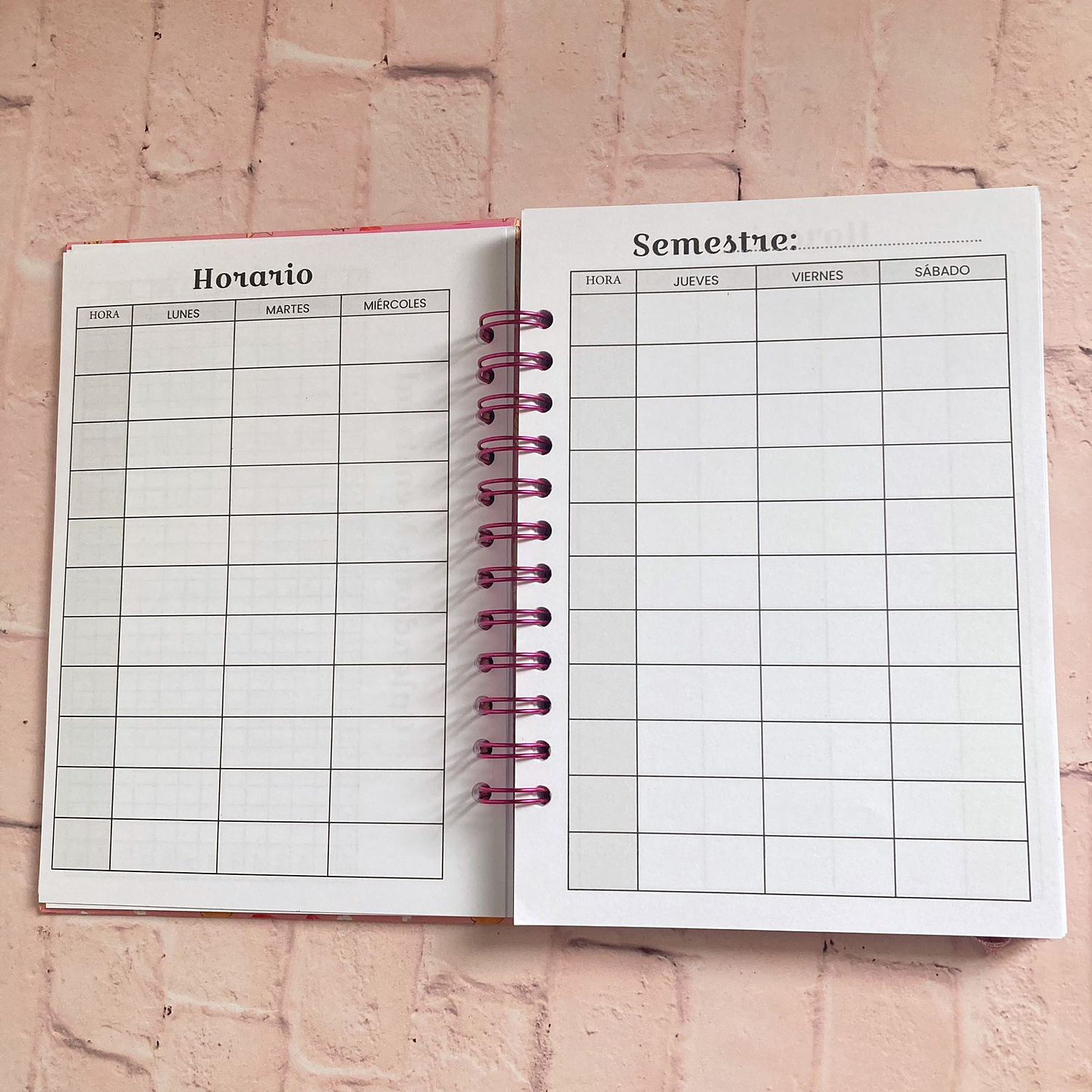 Planner  Minimalista Gatitos Arándanos Sin fecha 7