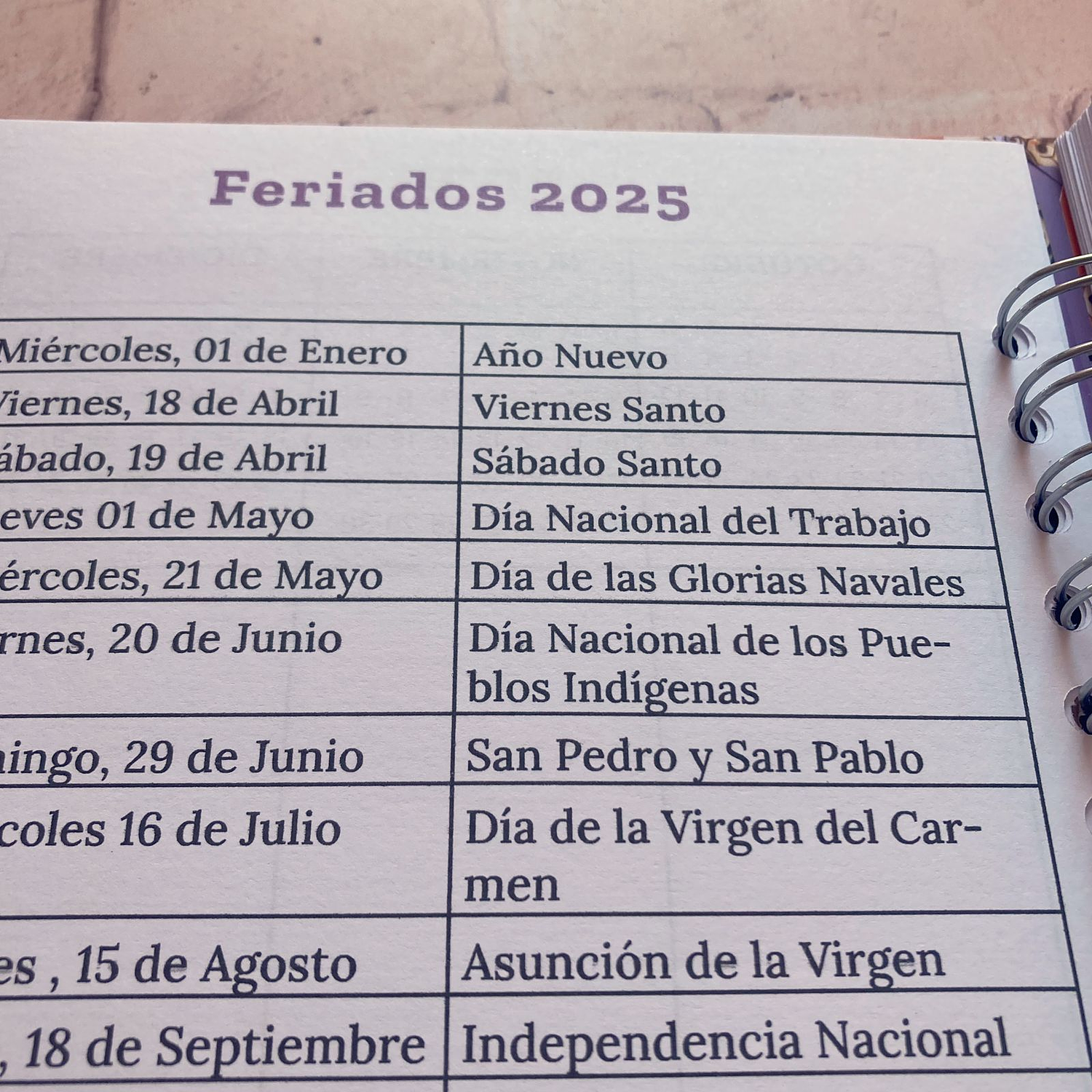 Agenda 2025 ilustrada Perritos Pug 9