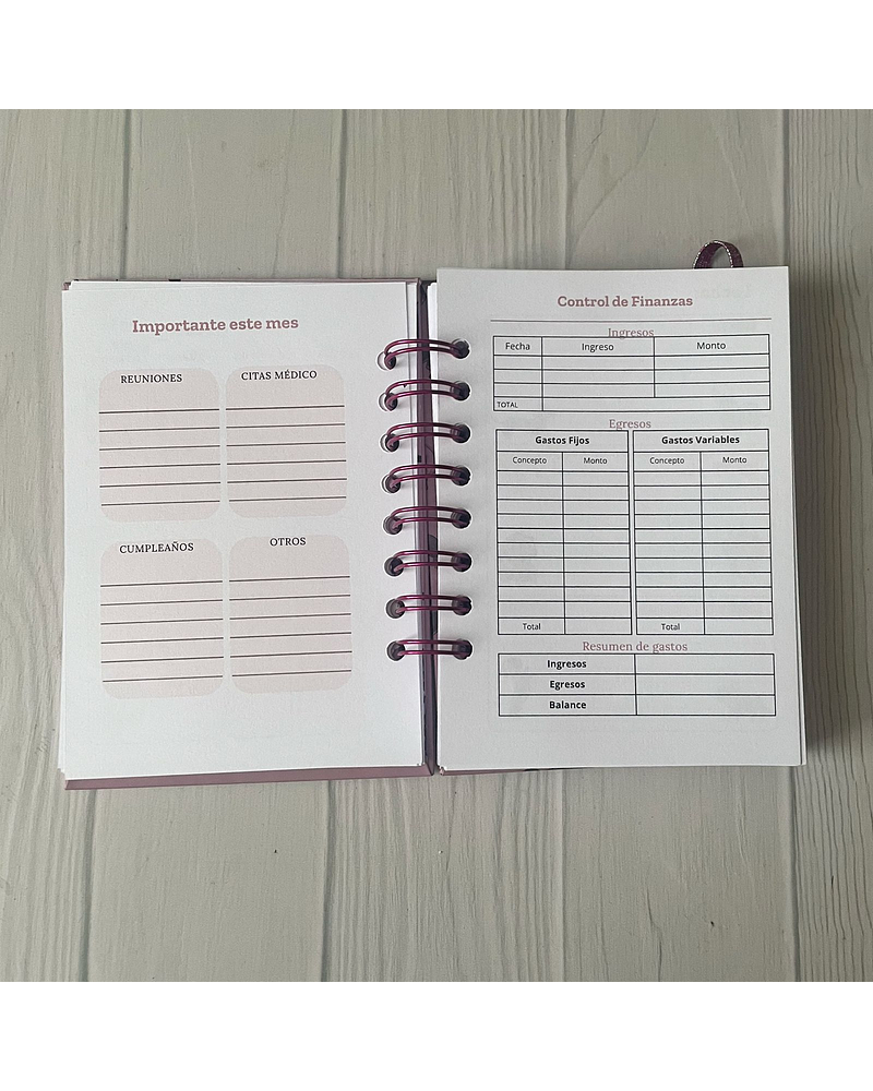 Mini Planner a6 perritos salchicha elegantes