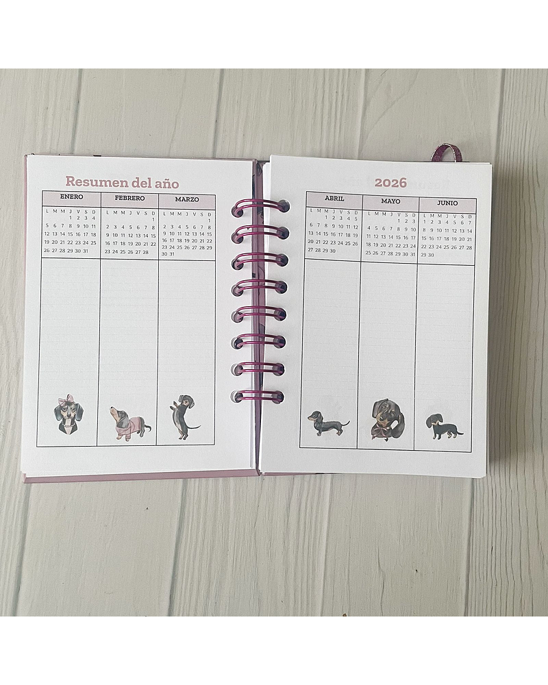 Mini Planner a6 perritos salchicha elegantes