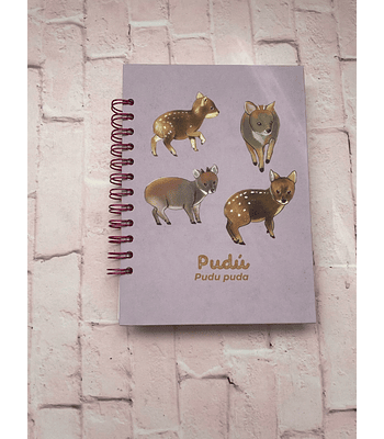 Cuaderno Pudús