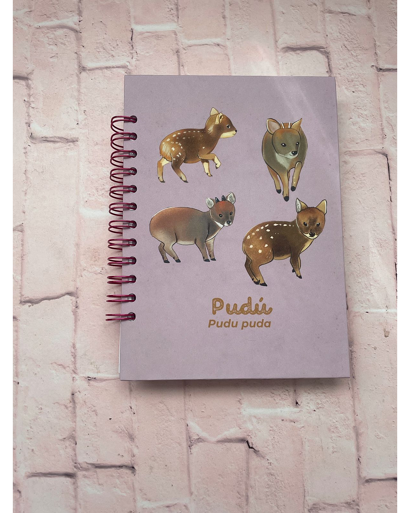 Cuaderno Pudús