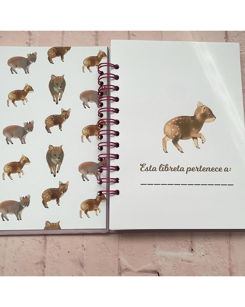 Cuaderno Pudús