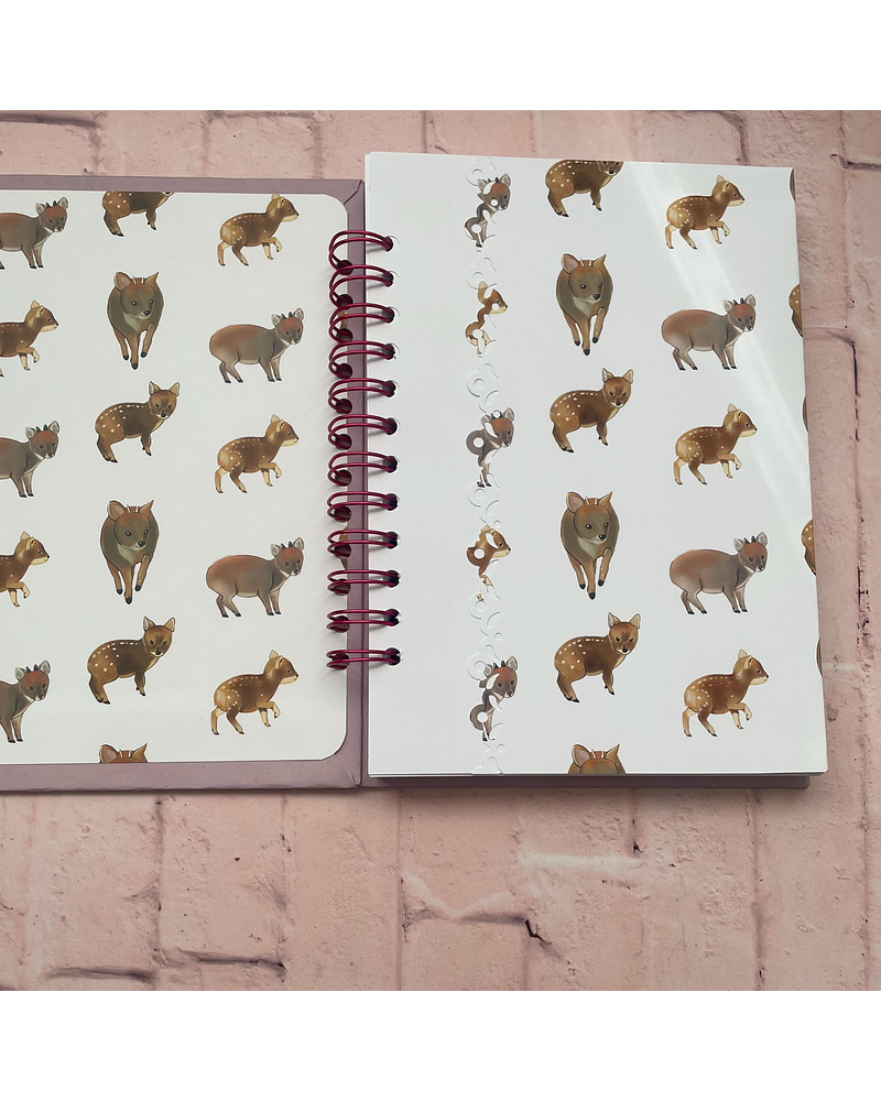 Cuaderno Pudús